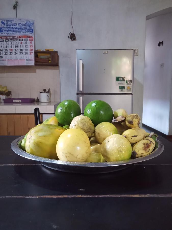 דירות טנגלה Dilip'S House מראה חיצוני תמונה
